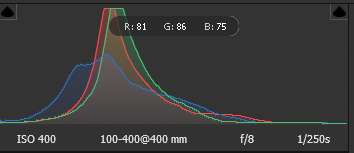 Histogram and exposure settings for E22B0550
