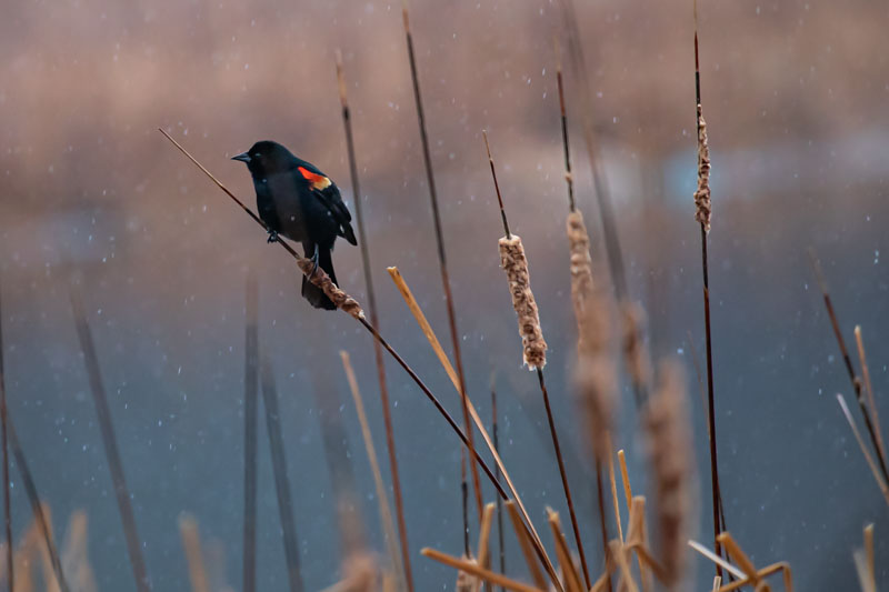 Turning into the Wind