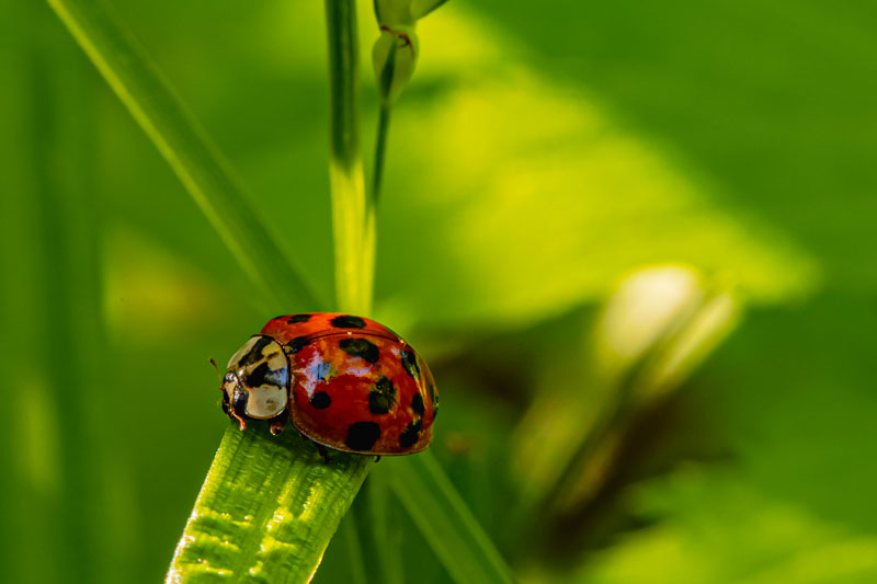 Exploring the Underside