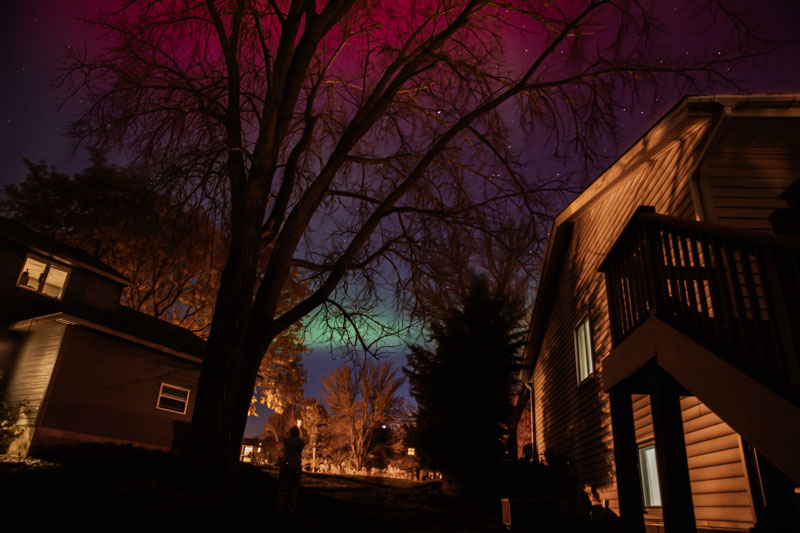Neighborhood Lightshow