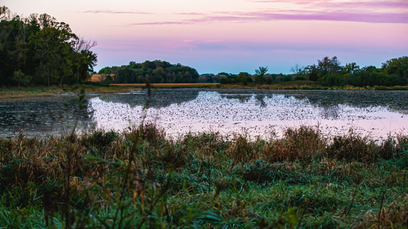 Sunrise over Wetlands