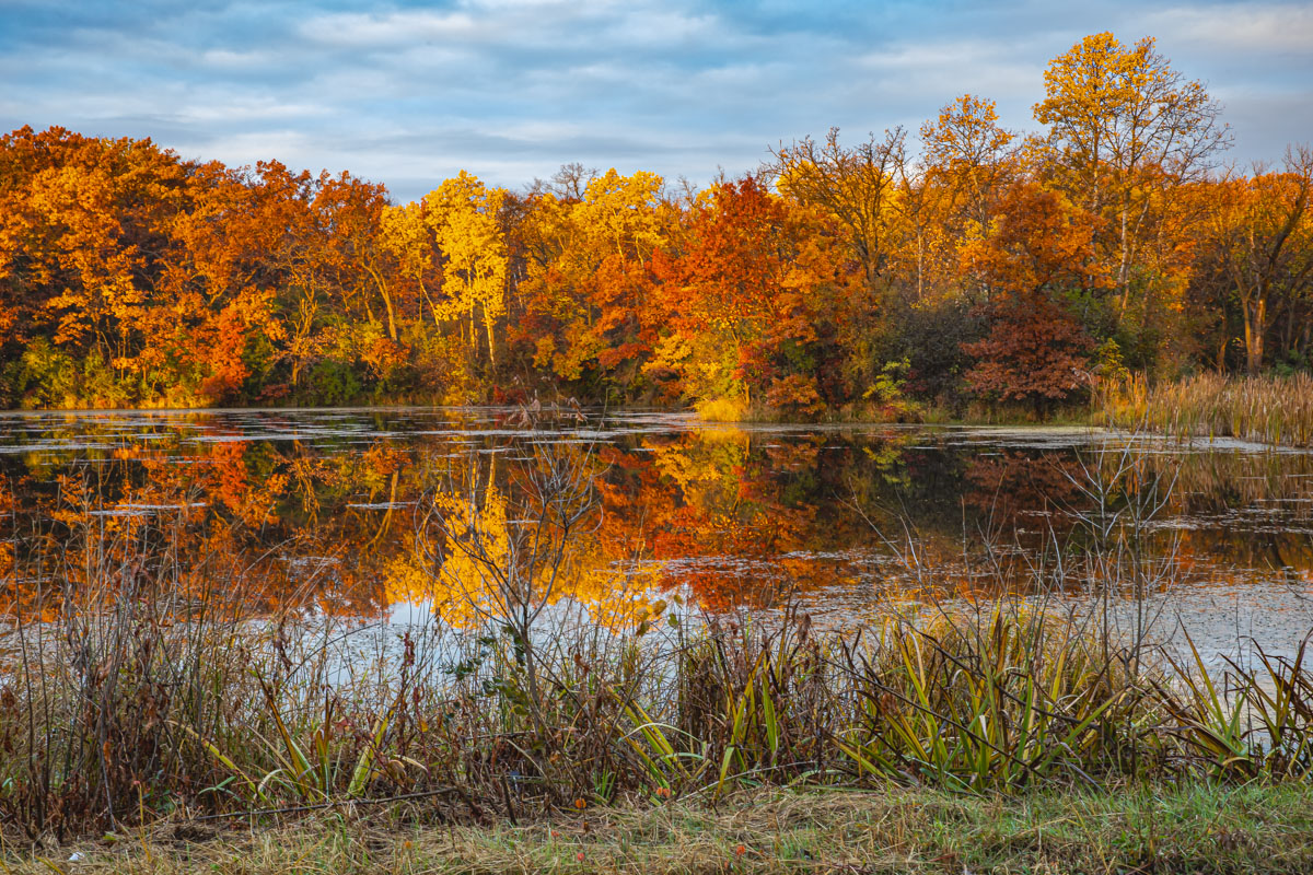 Autumn Reflection at Ritter Farm Park