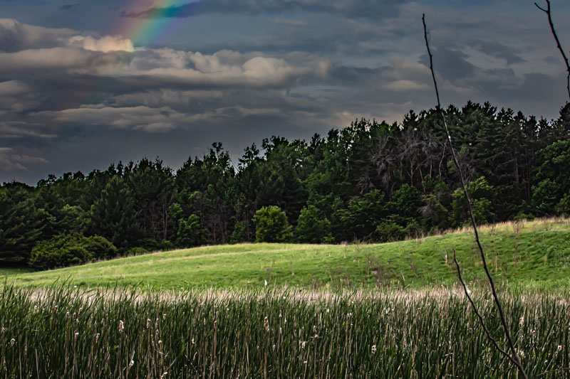 Storm Light at Ritter Farm Park with a faint rainbow over the meadow