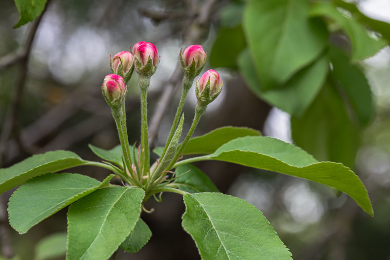 Not Yet Open